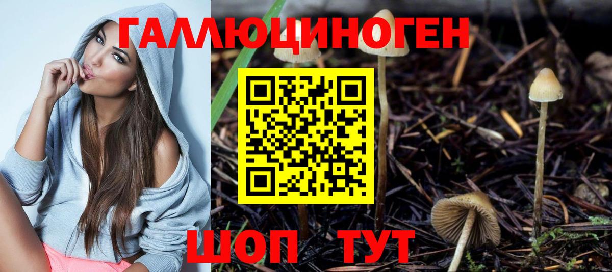 Лабинск  Галлюциногенные грибы Psilocybine cubensis  Вход с VPN  Псилоцибиновые грибы ЛСД 